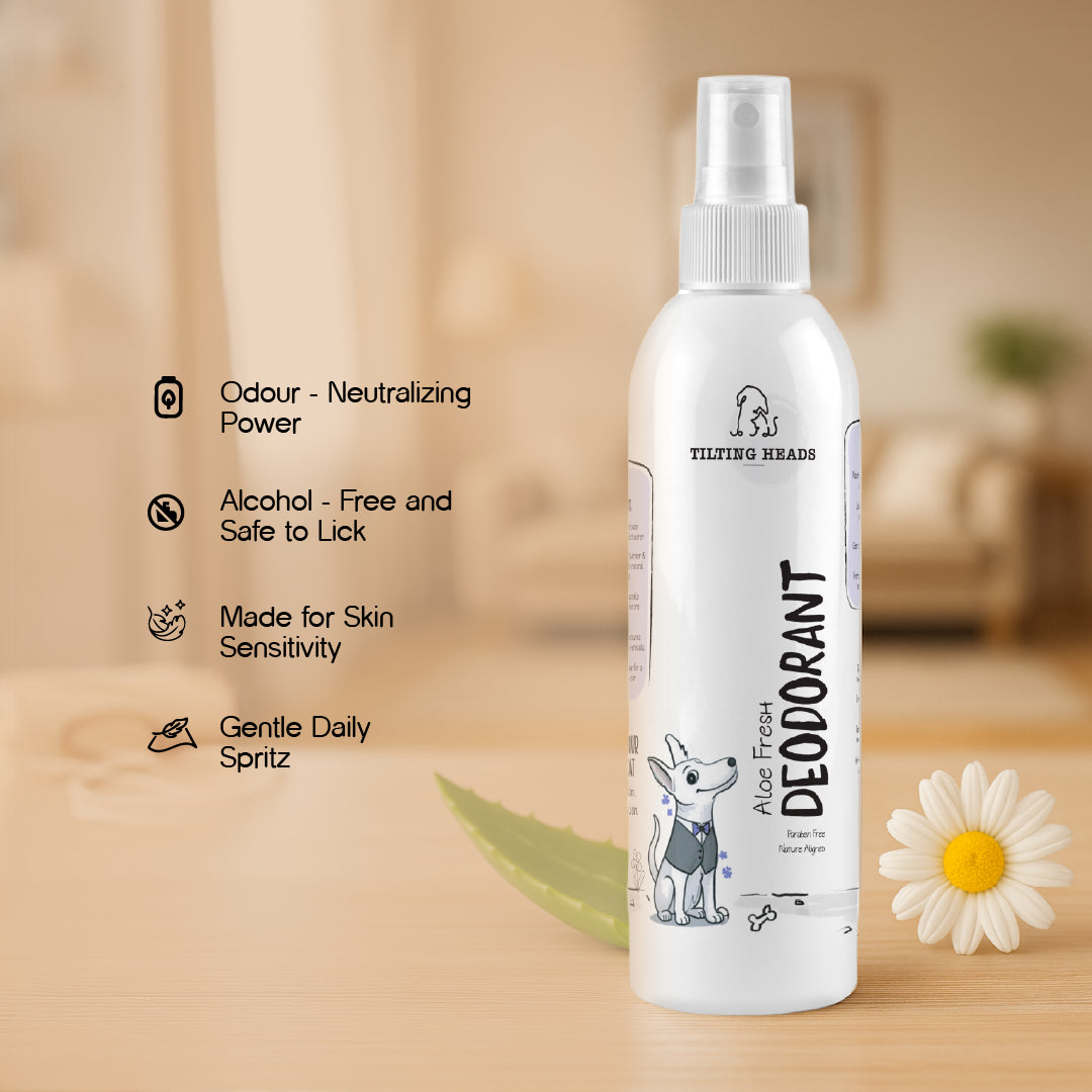 Bugs-to-Bliss Bundle – Outdoor Hygiene Combo for Active Pets