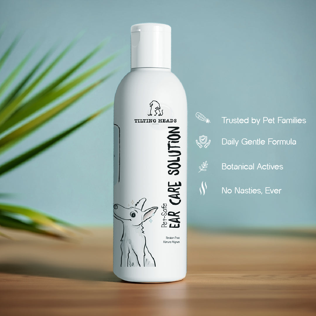 Bugs-to-Bliss Bundle – Outdoor Hygiene Combo for Active Pets
