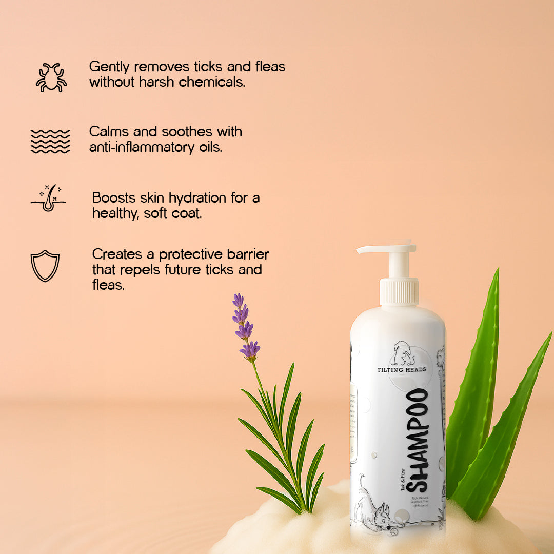 Bugs-to-Bliss Bundle – Outdoor Hygiene Combo for Active Pets