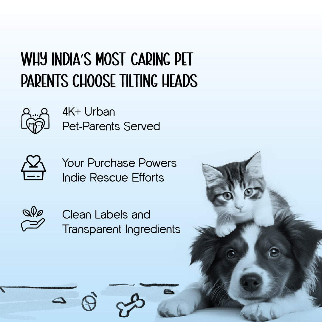 Aqua Care Shower | Pet Shower Head | Bathing & Grooming Tool