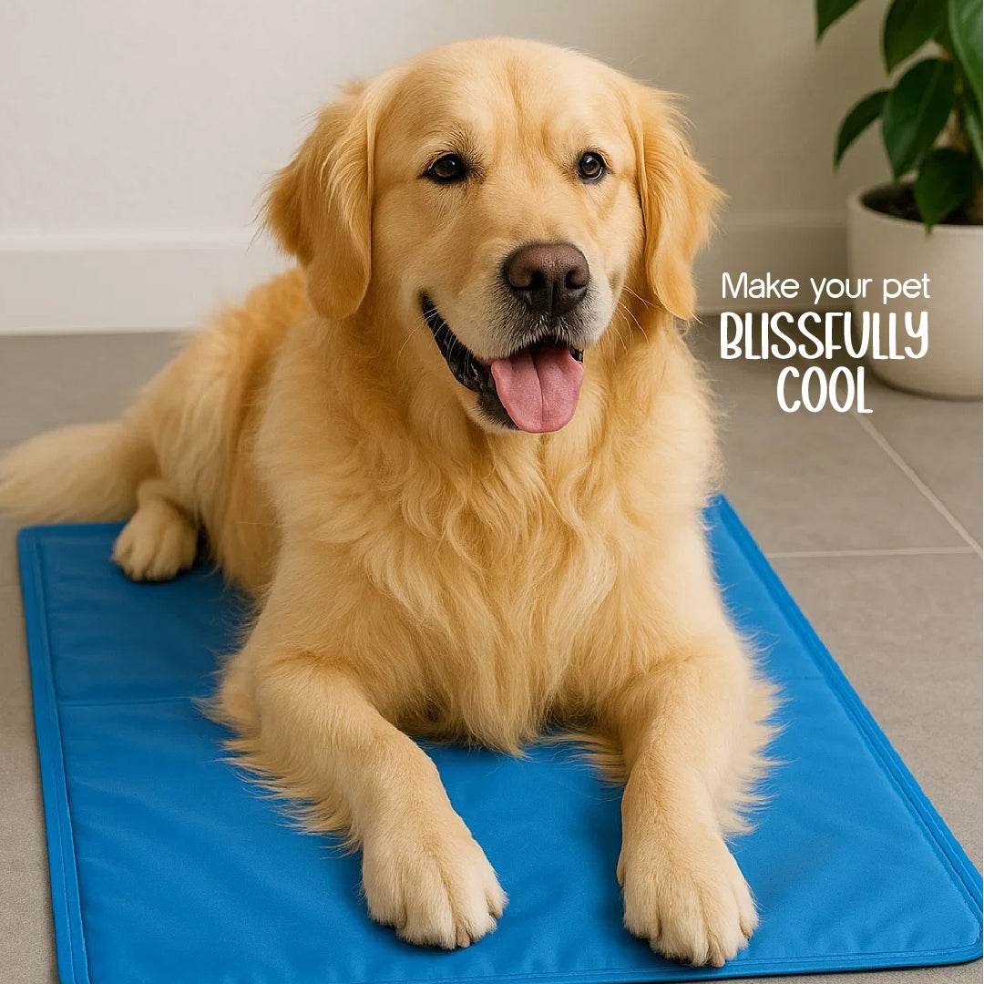 SummerSoothe Cooling Mat for Dogs | Self-Cooling, Travel-Friendly & Non-Toxic - Tilting Heads
