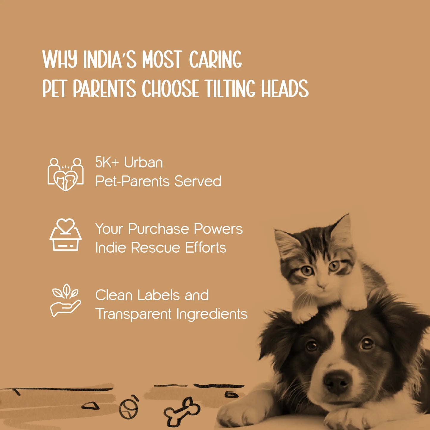 Cozee Knitwear – Soft, Warm & Stylish Winter Wear for Small Pets