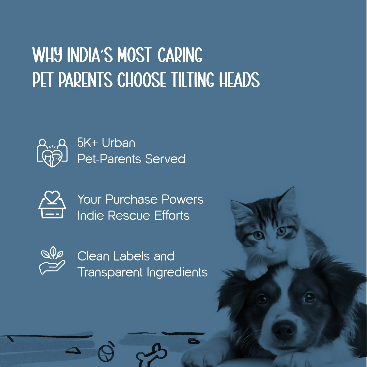 FrostFit Jacket – Warm, Stylish & Winter-Ready Denim Wear for Pets