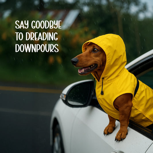 DrizzleCape – Waterproof Dog Raincoat | Fits All Breeds | Comfortable & Weather-Ready