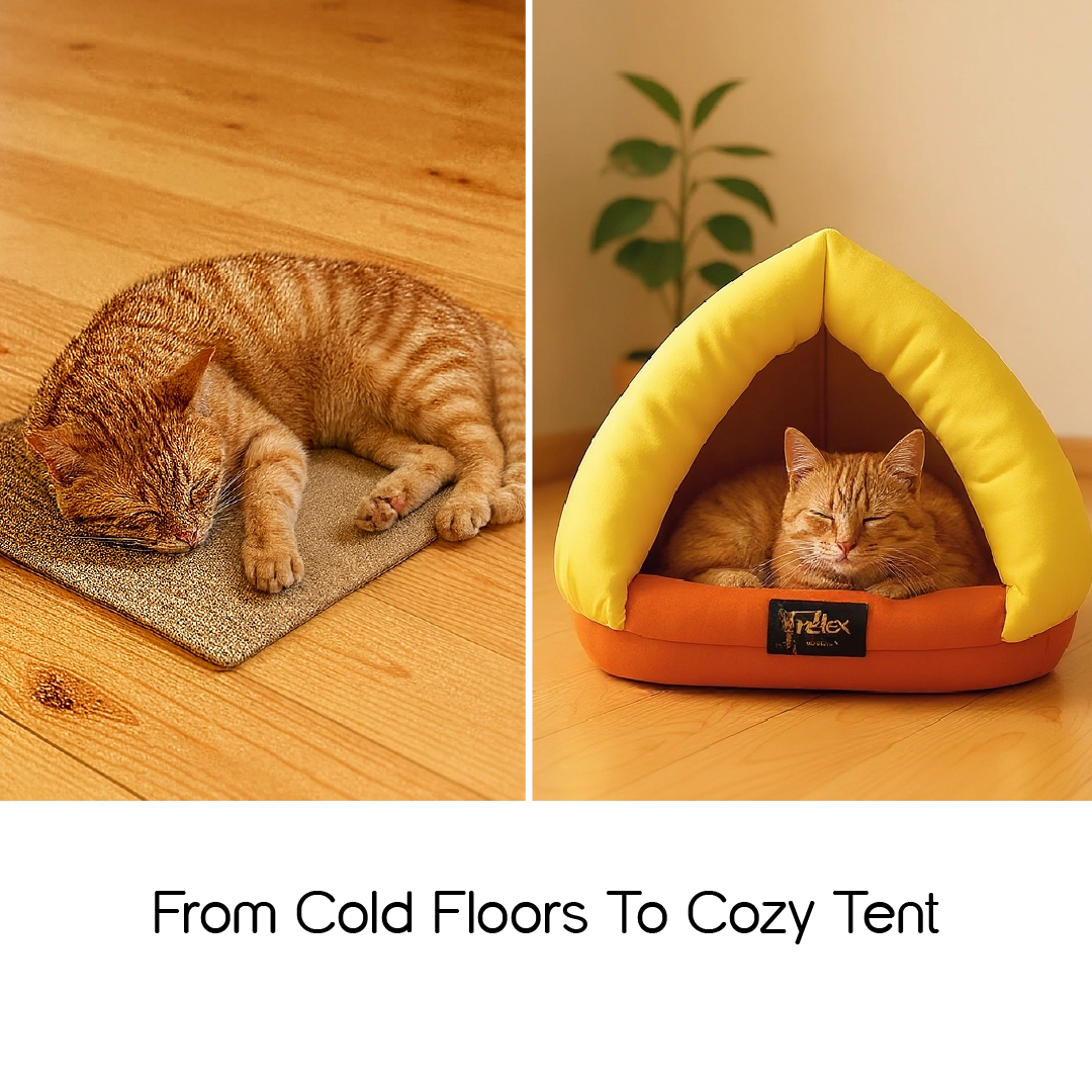Felis Cocoon – Cozy Tent Bed for Pets | Soft & Stylish Design