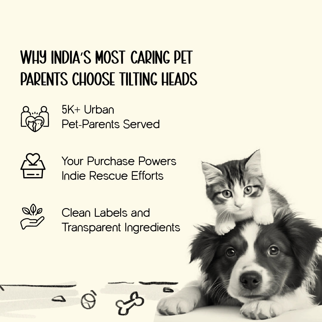 PupLennon Shades for Pets – Stylish UV Protection Sunglasses