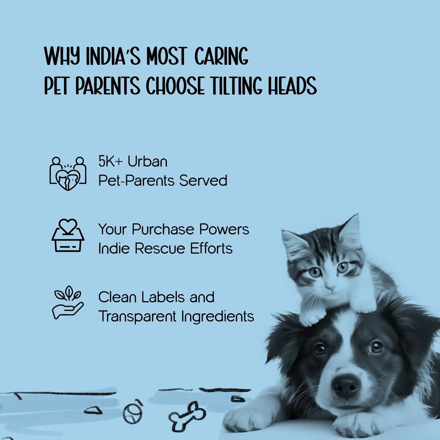 Guardian Grip Boots – Paw Protection & Comfort Wear for Small Pets - Tilting Heads