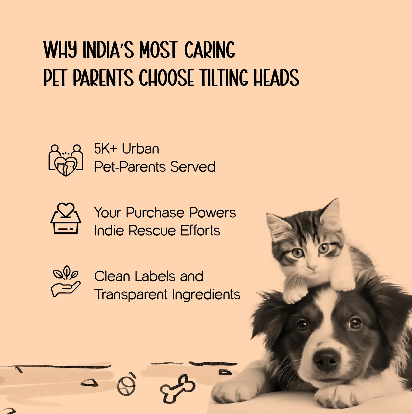 On-the-Go Hygiene Pack – Travel Grooming Kit for Dogs - Tilting Heads