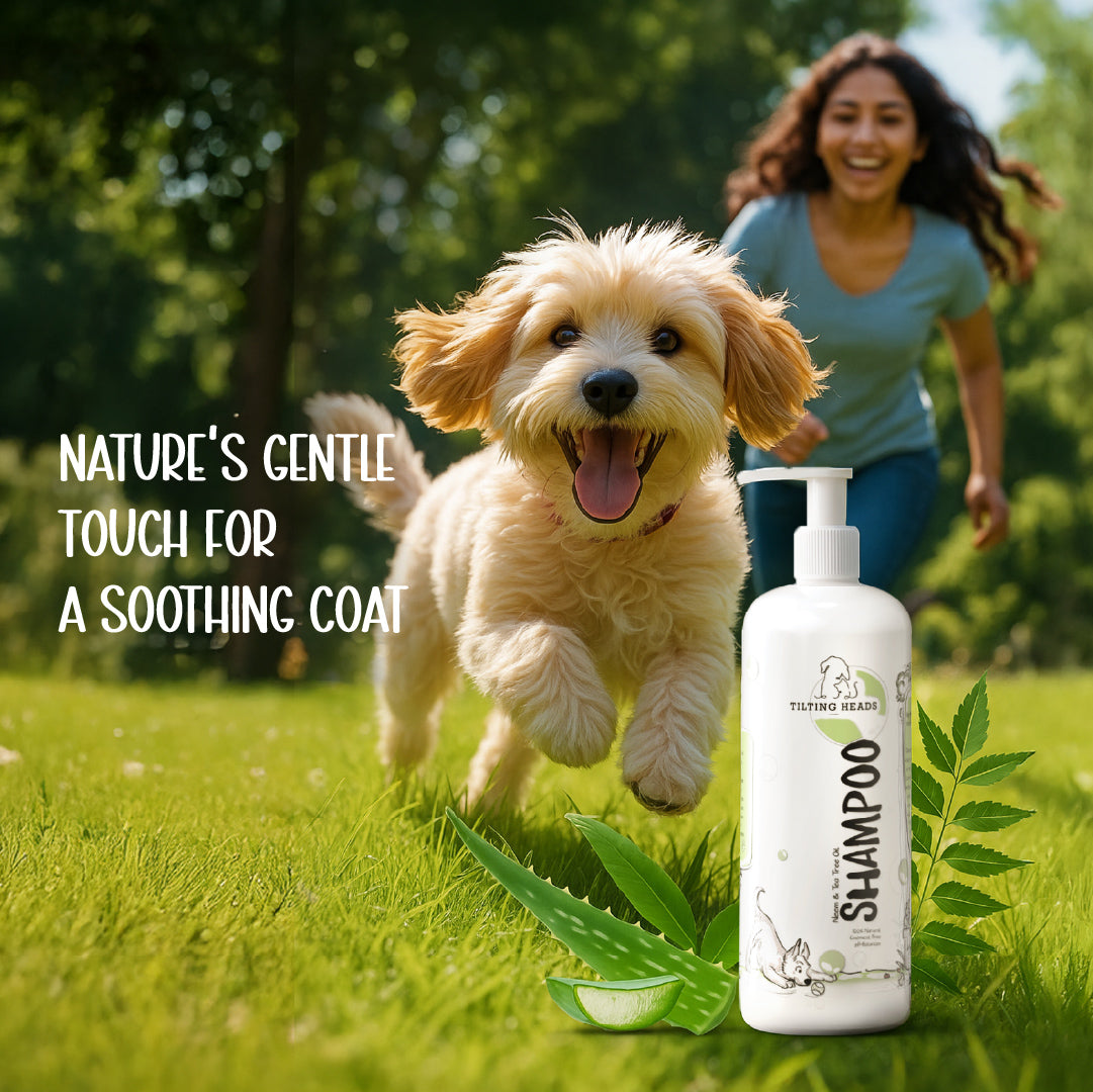 Neem & Tea Tree Oil Shampoo | Dog Shampoo with Nature's Antibacterial Formula
