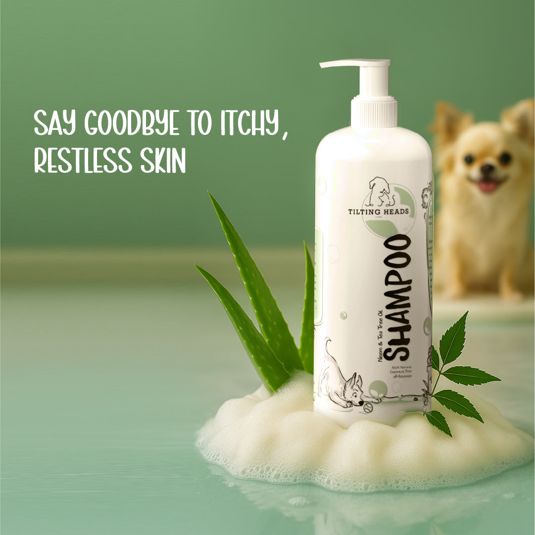 Neem & Tea Tree Oil Shampoo | Dog Shampoo with Nature's Antibacterial Formula