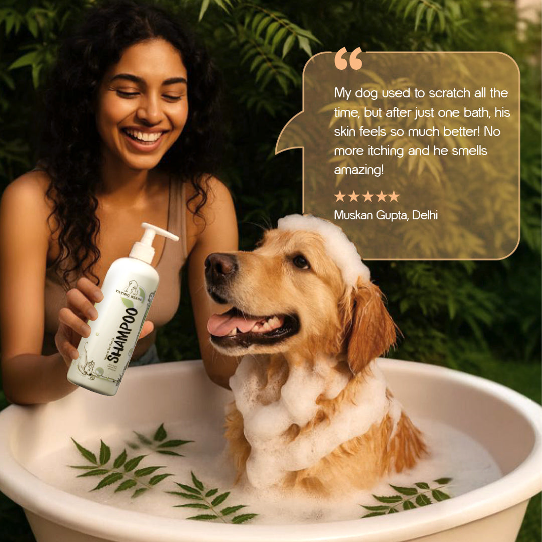 Neem & Tea Tree Oil Shampoo | Dog Shampoo with Nature's Antibacterial Formula