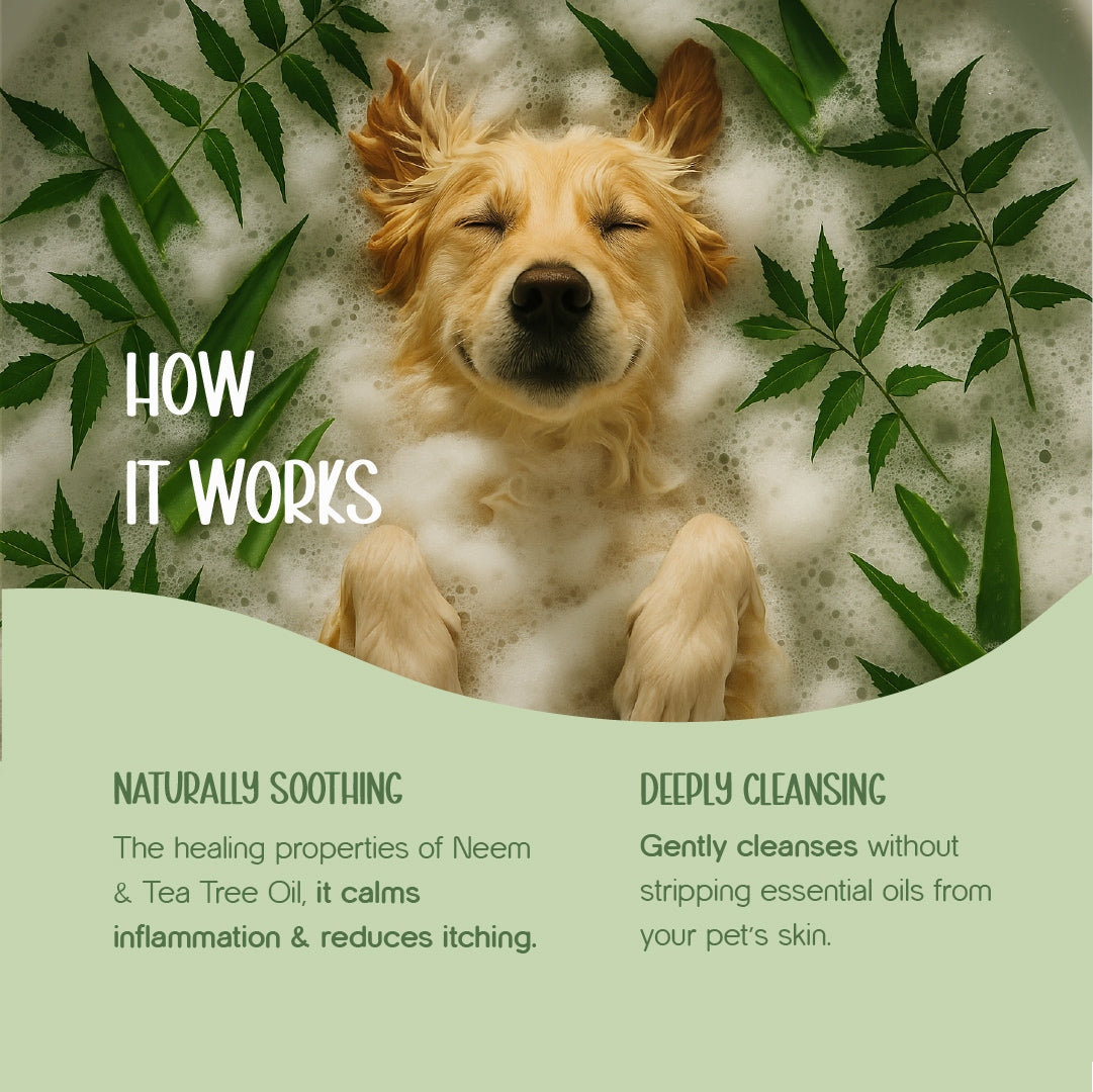 Neem & Tea Tree Oil Shampoo | Dog Shampoo with Nature's Antibacterial Formula
