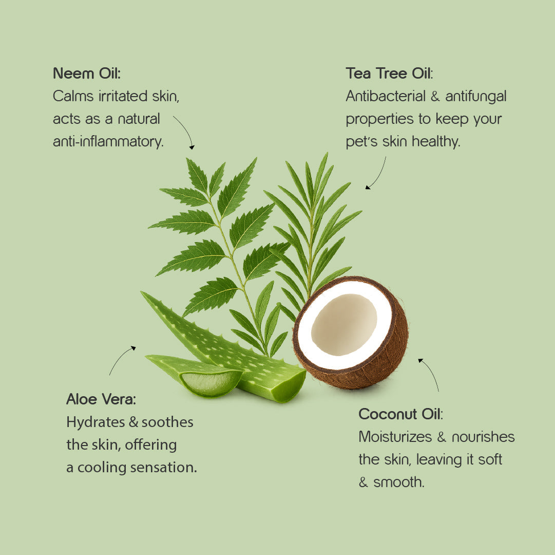 Neem & Tea Tree Oil Shampoo | Dog Shampoo with Nature's Antibacterial Formula