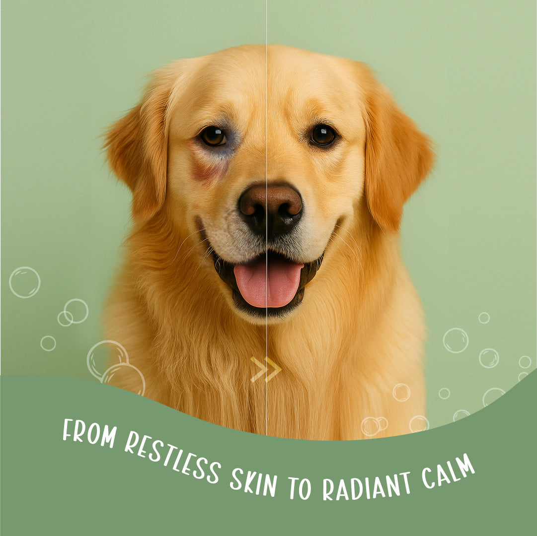 Neem & Tea Tree Oil Shampoo | Dog Shampoo with Nature's Antibacterial Formula
