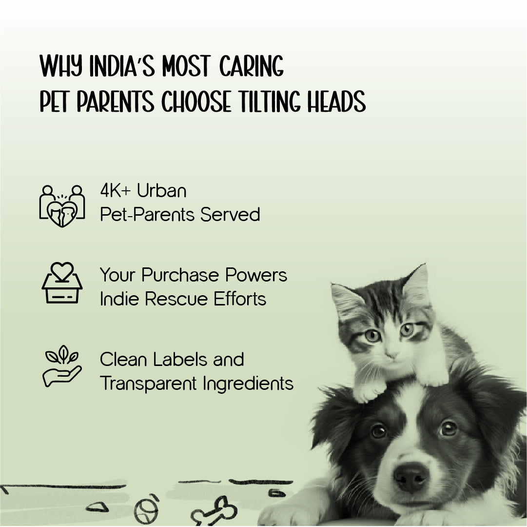 Neem & Tea Tree Oil Shampoo | Dog Shampoo with Nature's Antibacterial Formula