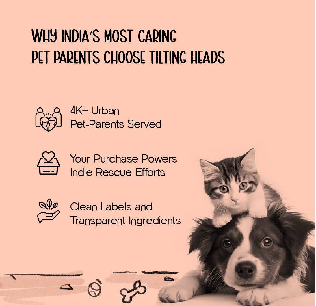 Aurora Litter Den – Clean, Comfy & Private Litter Space for Cats