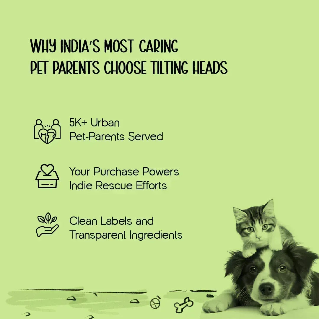 SummerGuard Cooling Vest: Cool Comfort for Hot Days - Tilting Heads