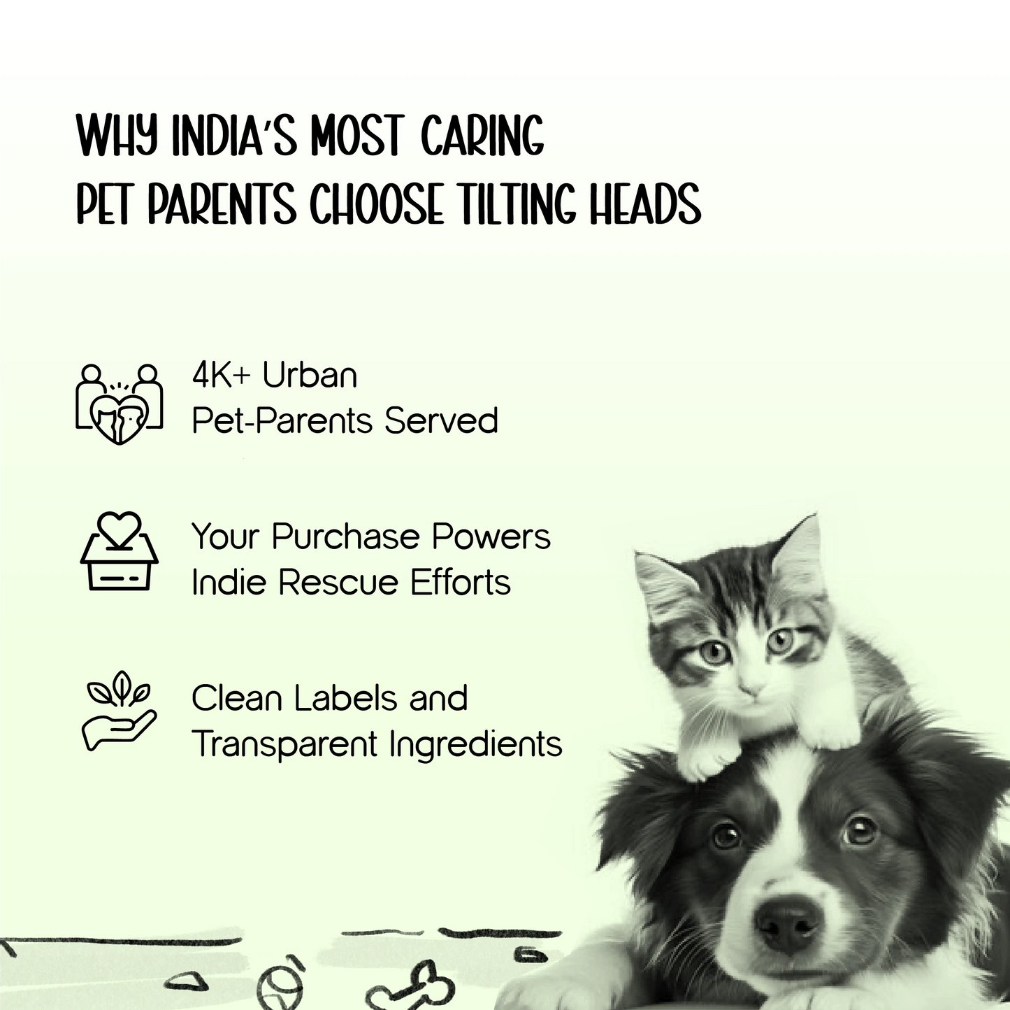 Paw Cleanser