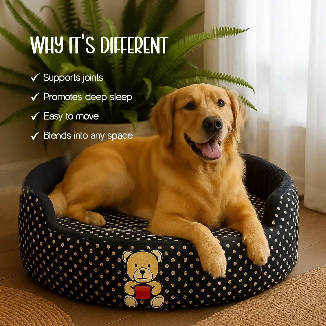Pomelo Nest - Supportive Foam | Raised Sides | Washable Comfort