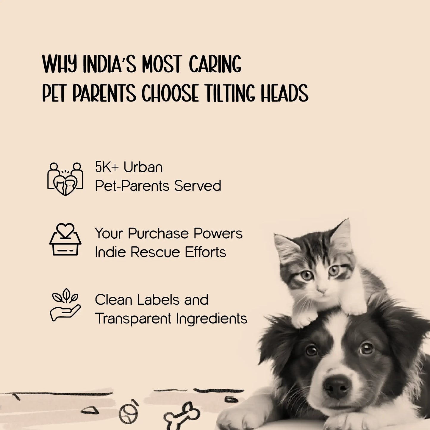 Scratchet Mat – Fun, Anti-Slip & Safe Cat Scratching Spot - Tilting Heads