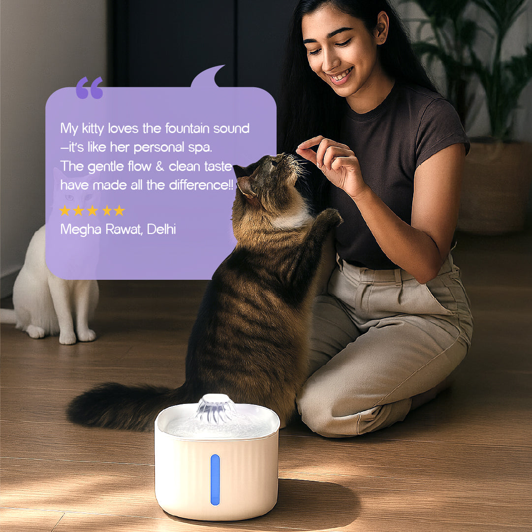 SmartSip Fountain for Cats | Continuous Water Flow | Electric Powered