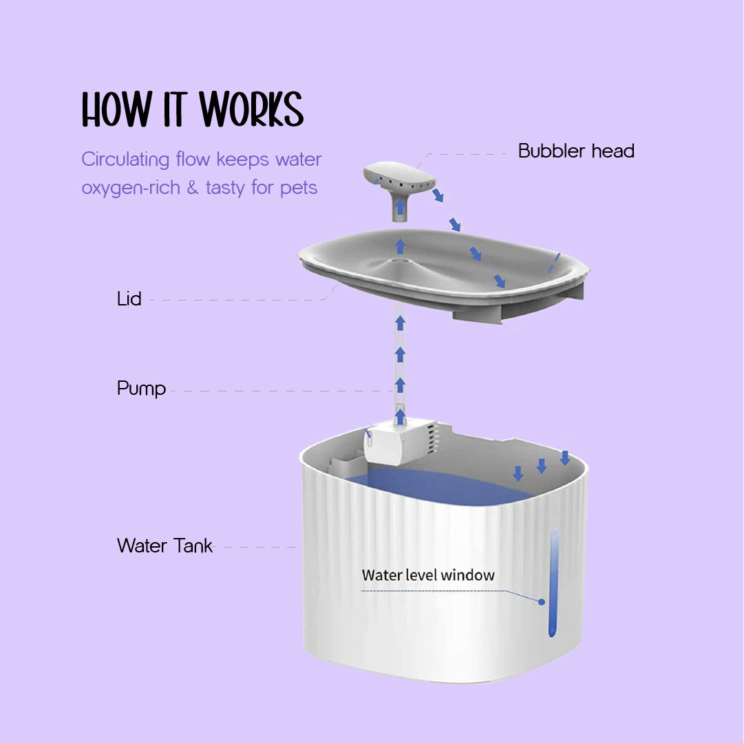 SmartSip Fountain for Cats | Continuous Water Flow | Electric Powered