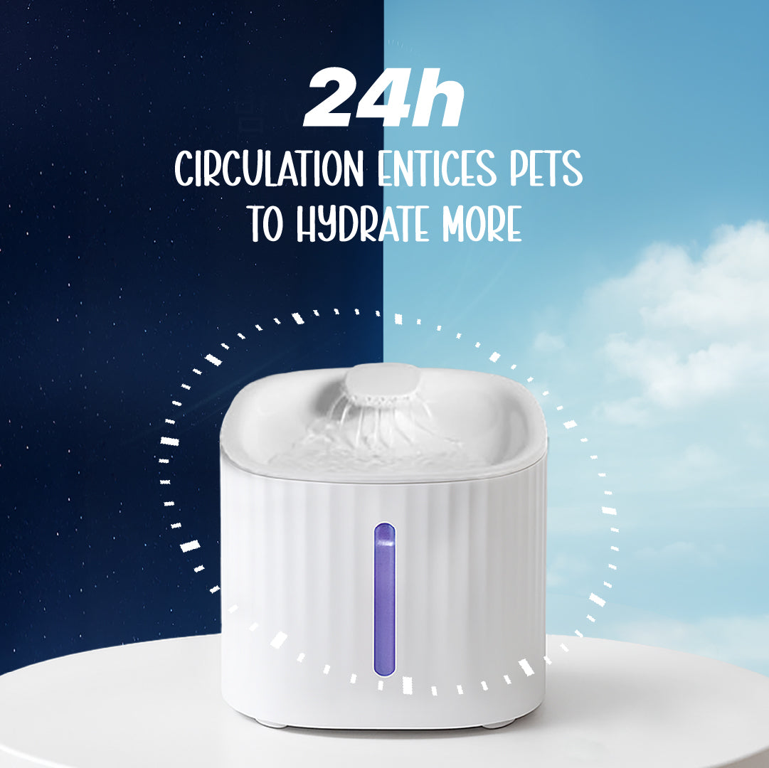 SmartSip Fountain for Cats | Continuous Water Flow | Electric Powered
