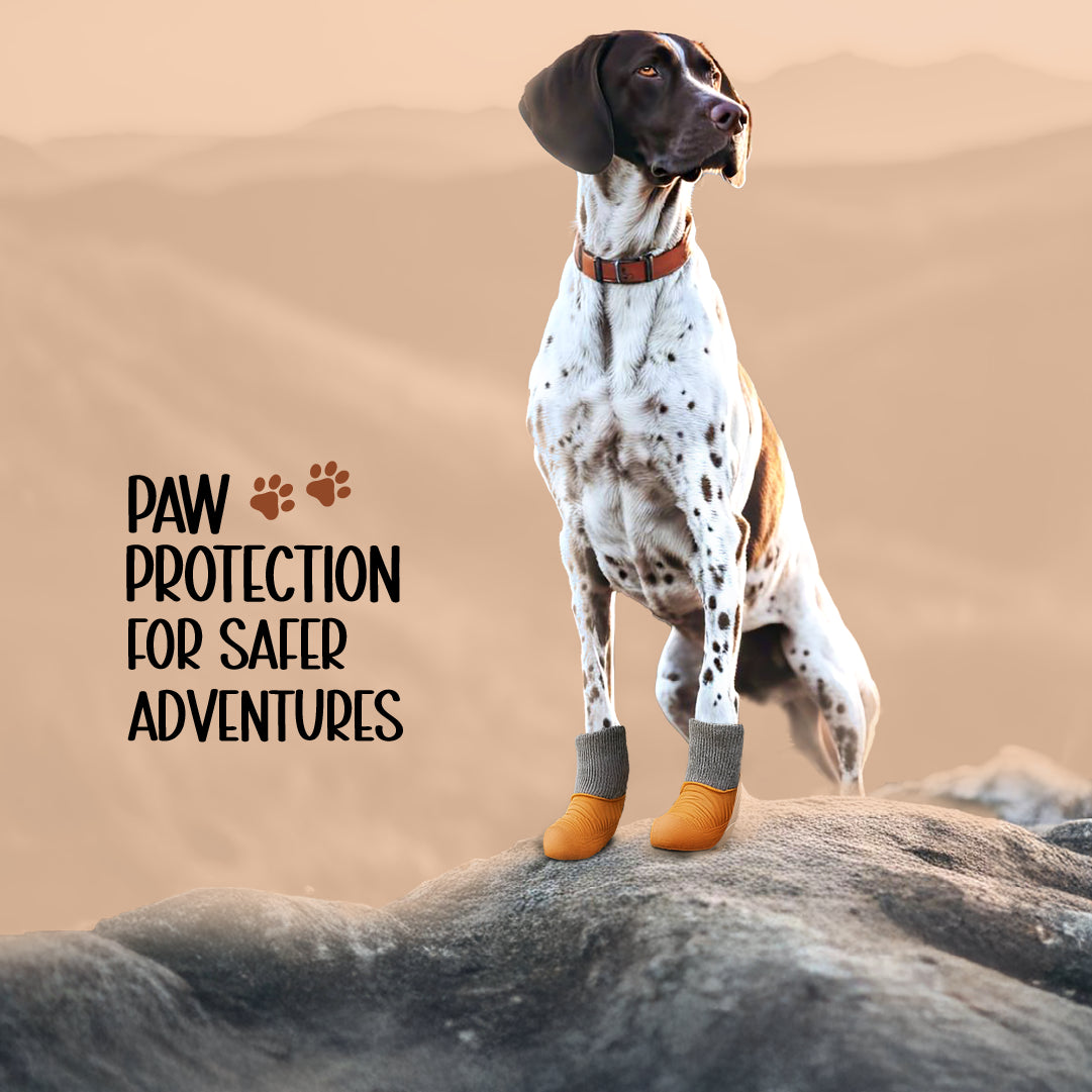 TenderTrek Silicone Boots | Waterproof, Anti-Slip, Comfy Fit