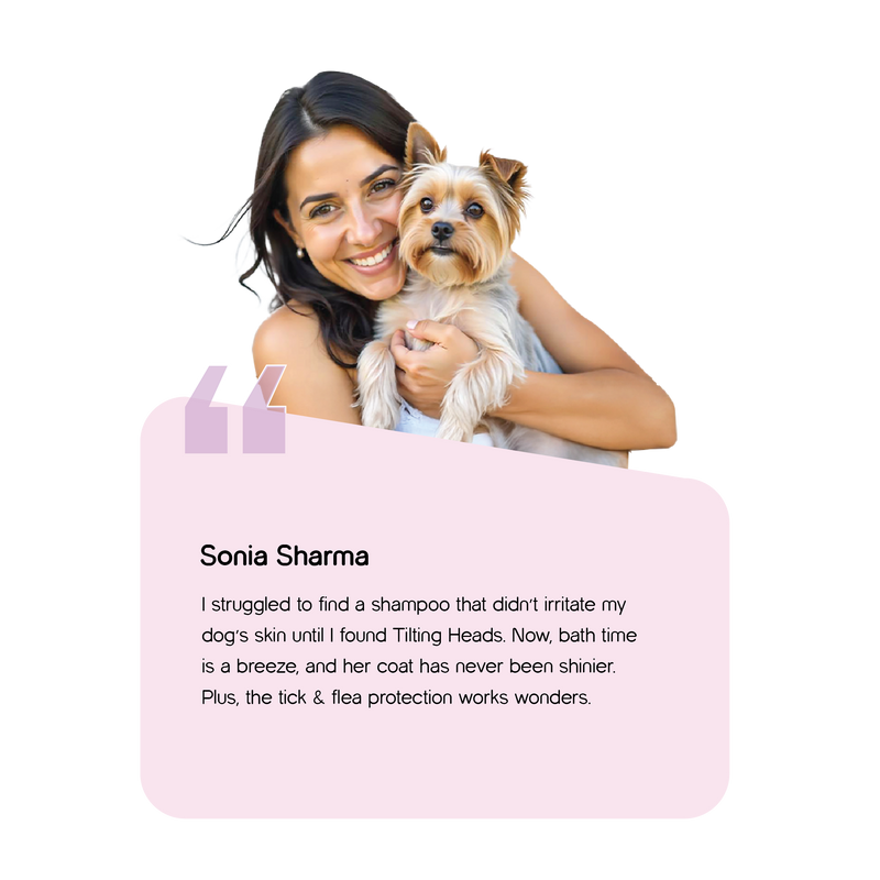 Image Card