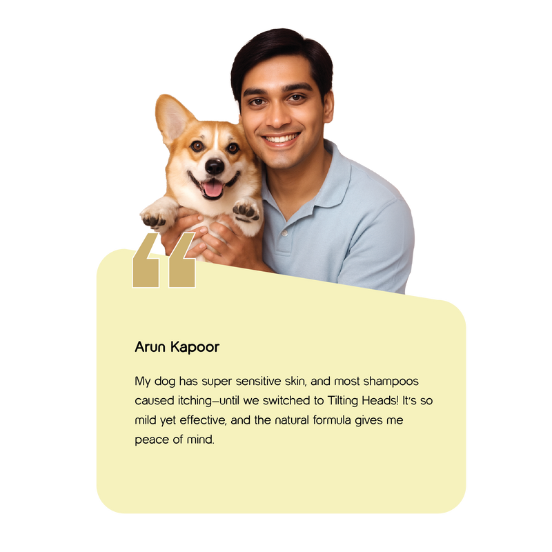 Image Card