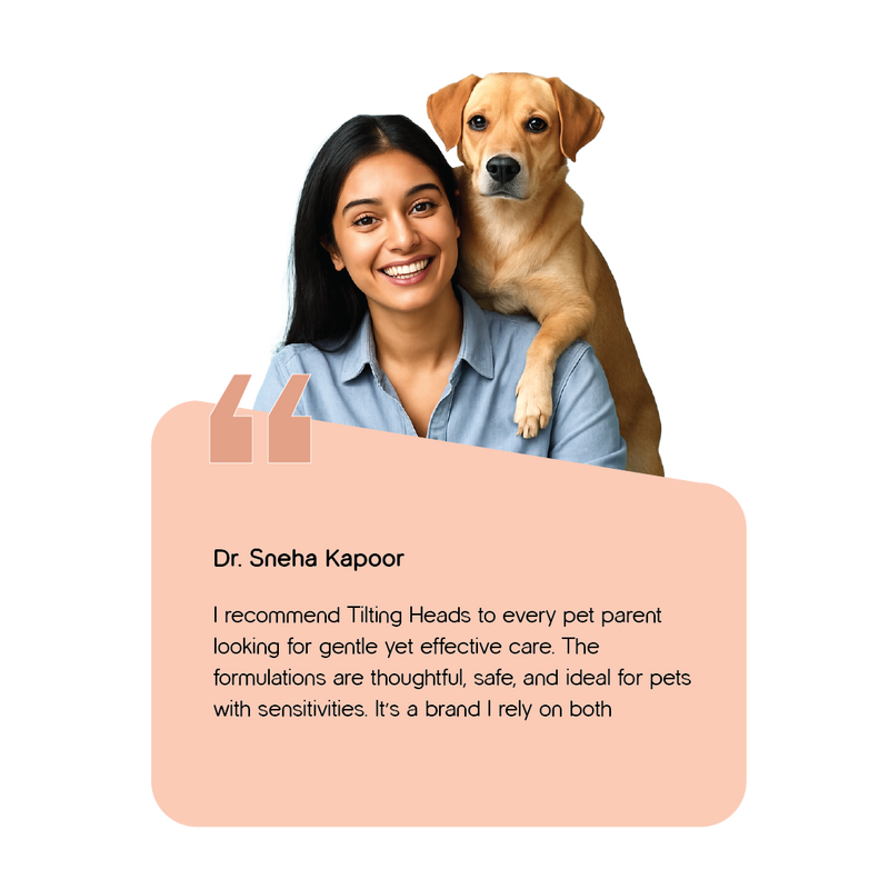 Image Card