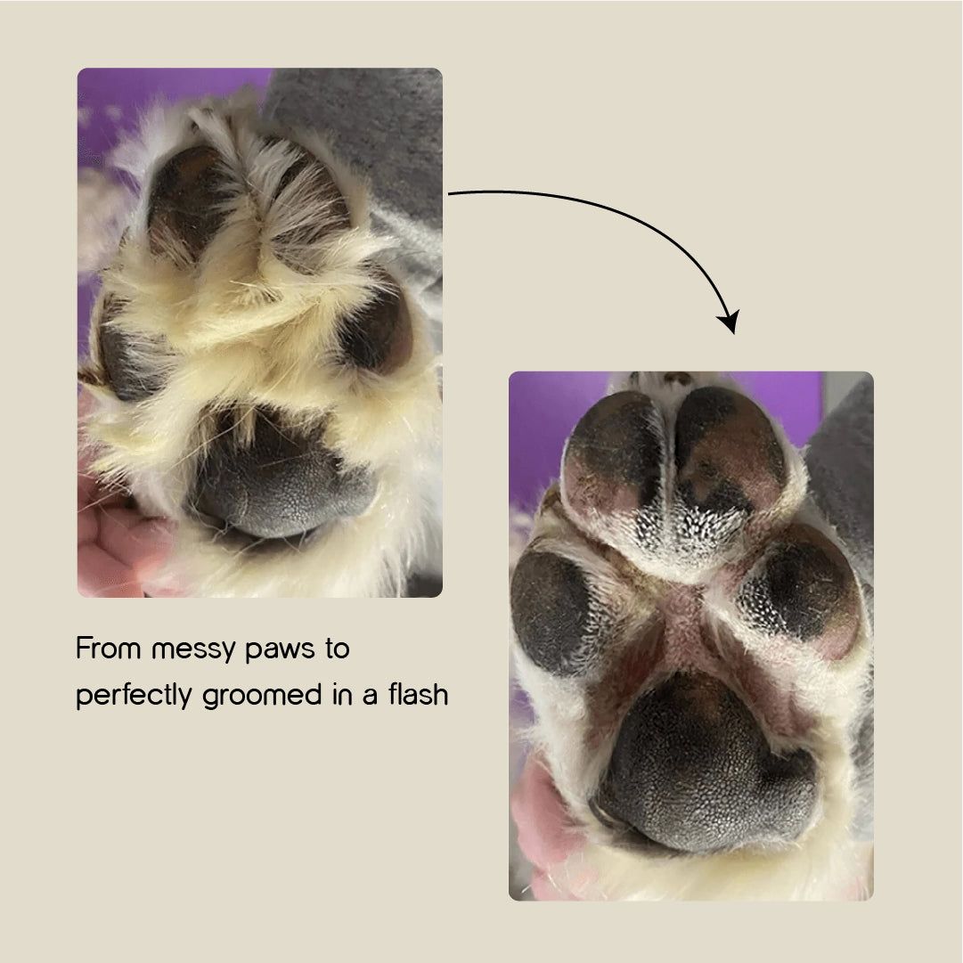 TrimEase Paw Trimmer | Precise & Gentle Grooming For Pets | Rechargeable & Safe