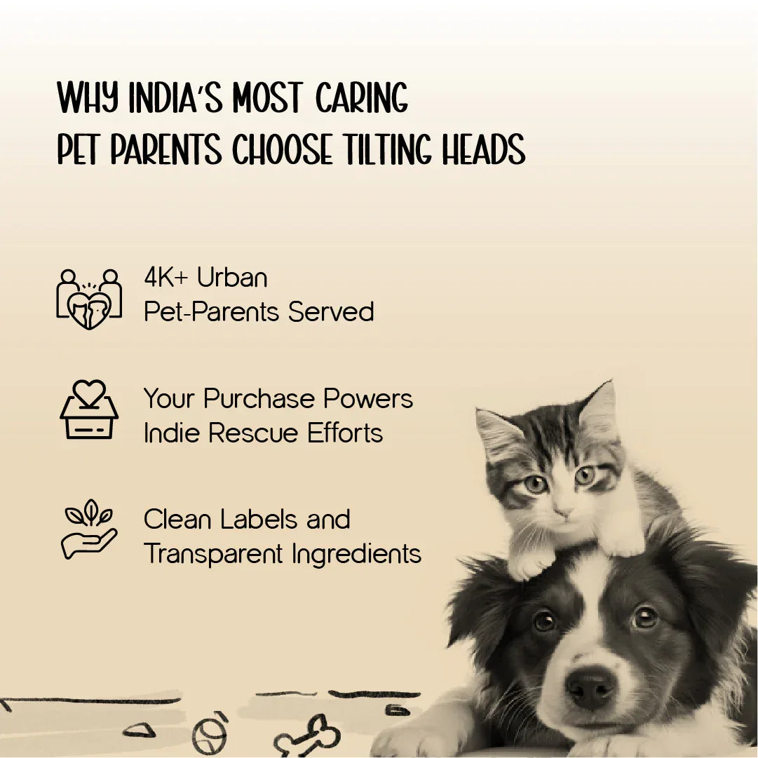 TrimEase Paw Trimmer | Precise & Gentle Grooming For Pets | Rechargeable & Safe - Tilting Heads