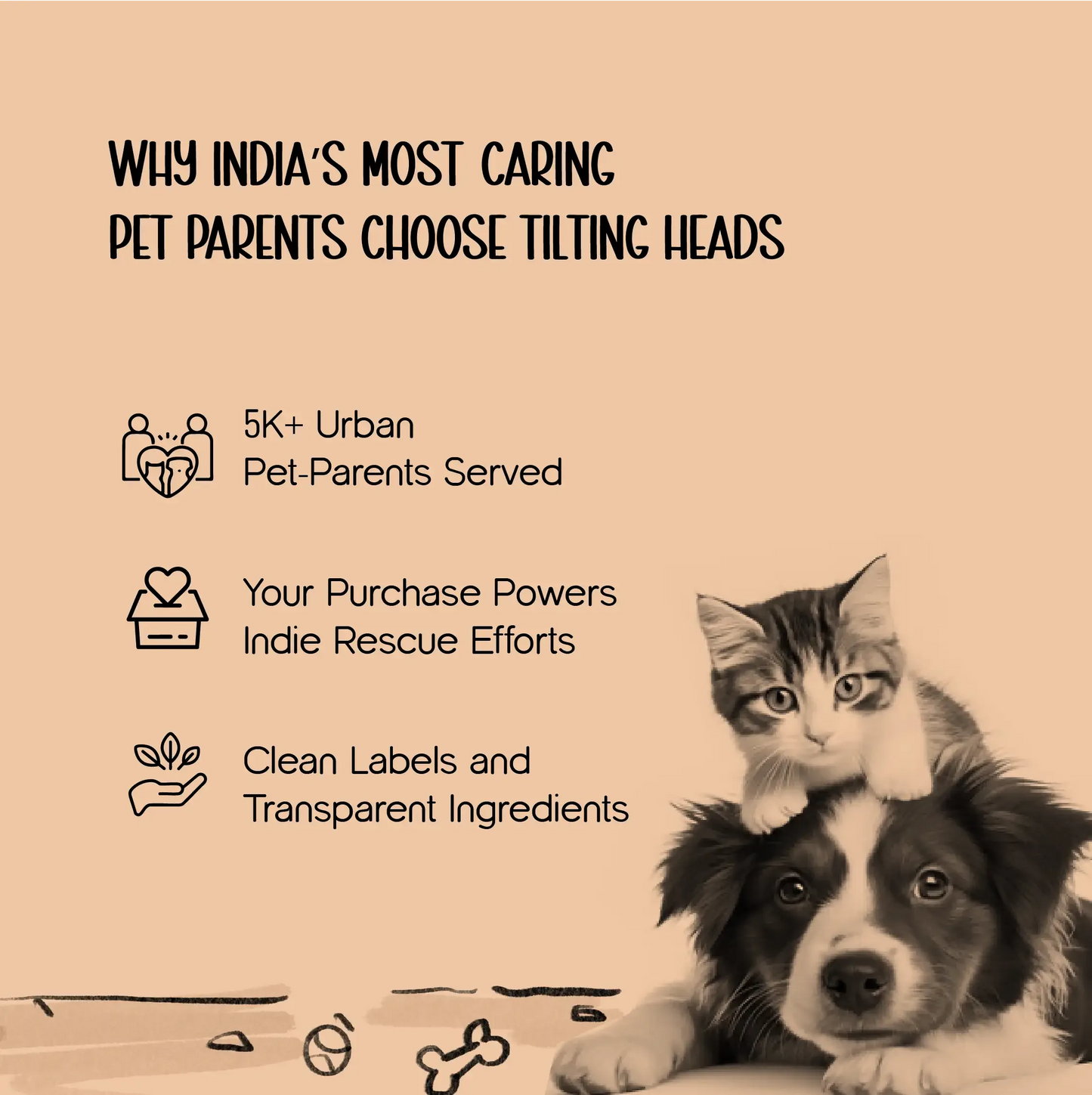 WhiskerWell Cat Water Fountain | Fresh, Filtered Hydration for Pets - Tilting Heads