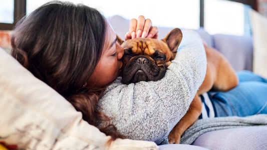 The Hygiene Hack That Saves Pet Parents on Busy Days