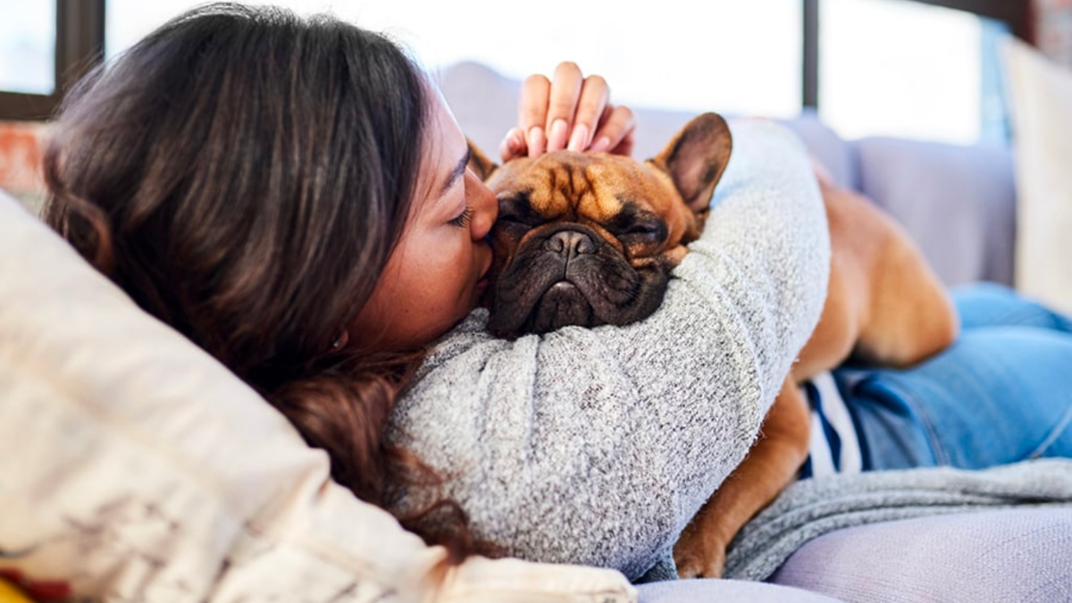 The Hygiene Hack That Saves Pet Parents on Busy Days - Tilting Heads