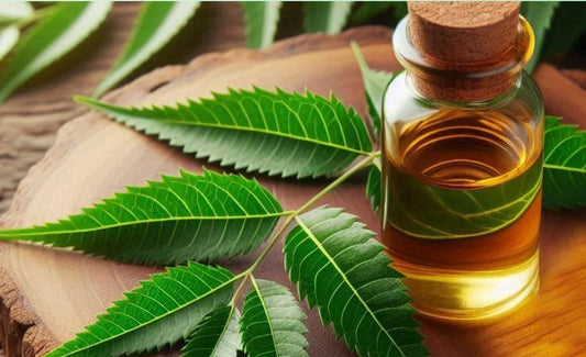 The Remarkable Benefits of Neem & Tea Tree Oil in Dog Grooming Products