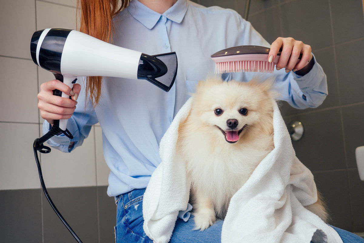DIY Pet Grooming Spa Day at Home: A Step-by-Step Guide - Tilting Heads