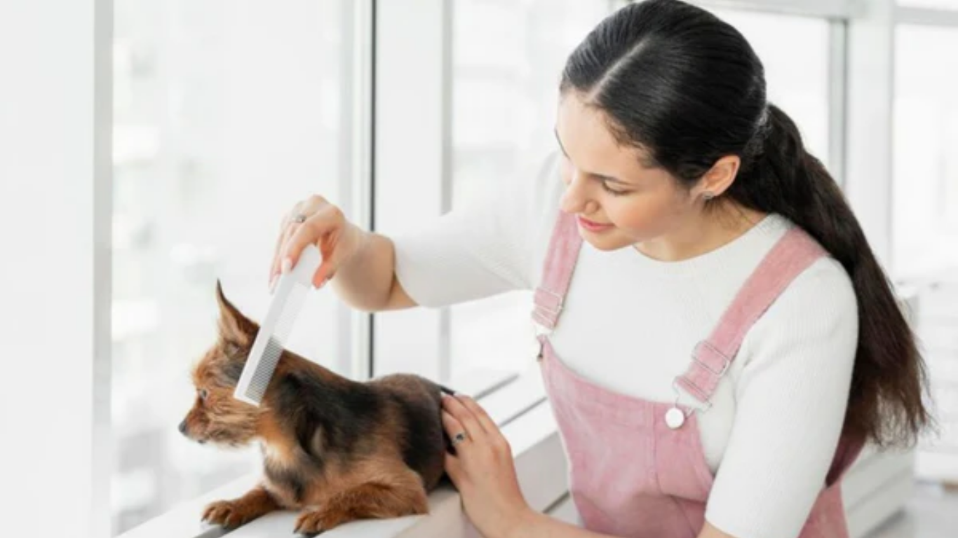 Did You Ever Wonder Why Your Pet Resists Grooming?