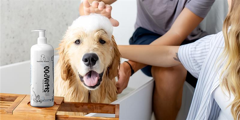 Your Dog’s Skin Has Its Own Ecosystem — Here’s How to Protect It - Tilting Heads