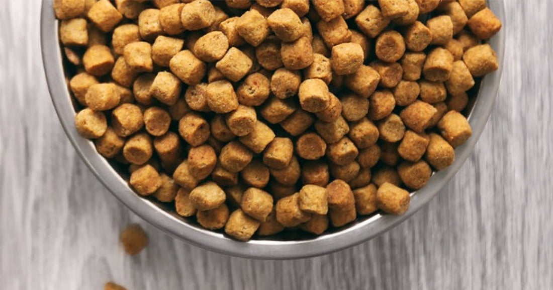 Is Your Pet’s Kibble Really Fresh? Here’s the Hidden Truth About Food Storage