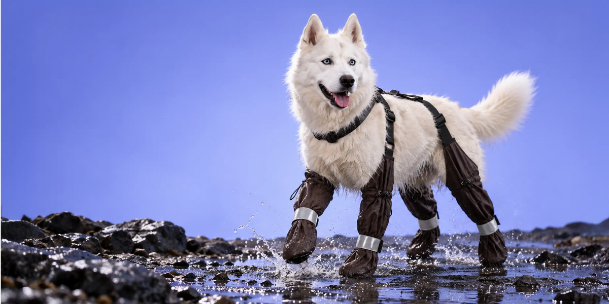 Pawveralls Pro Suspender Boots For Dogs