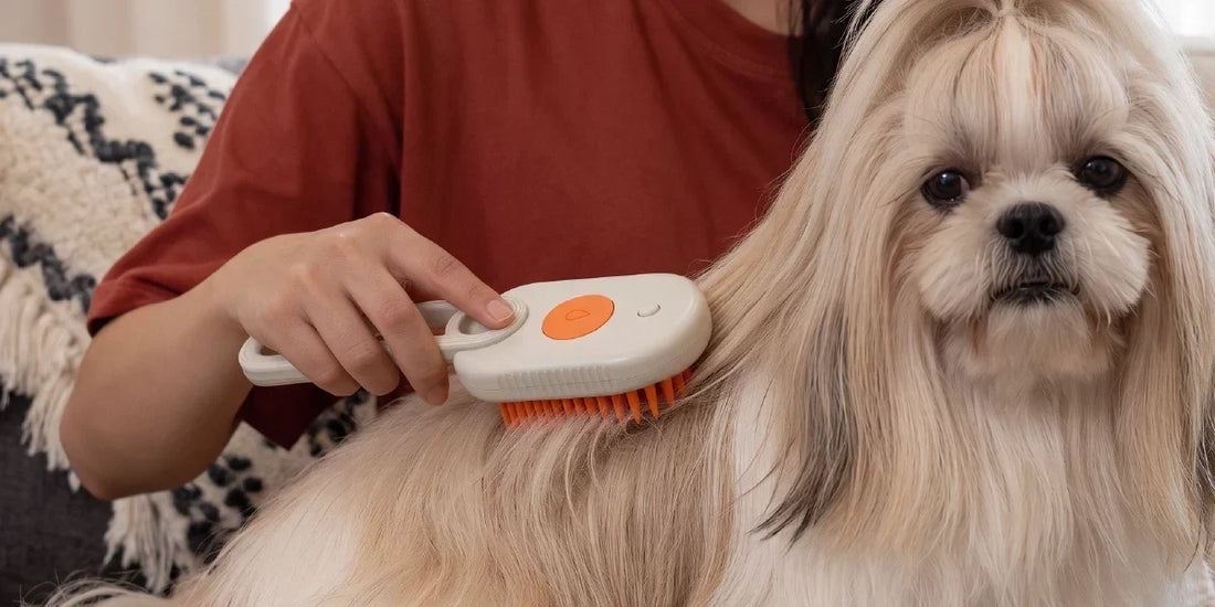 Dog brushing feature image