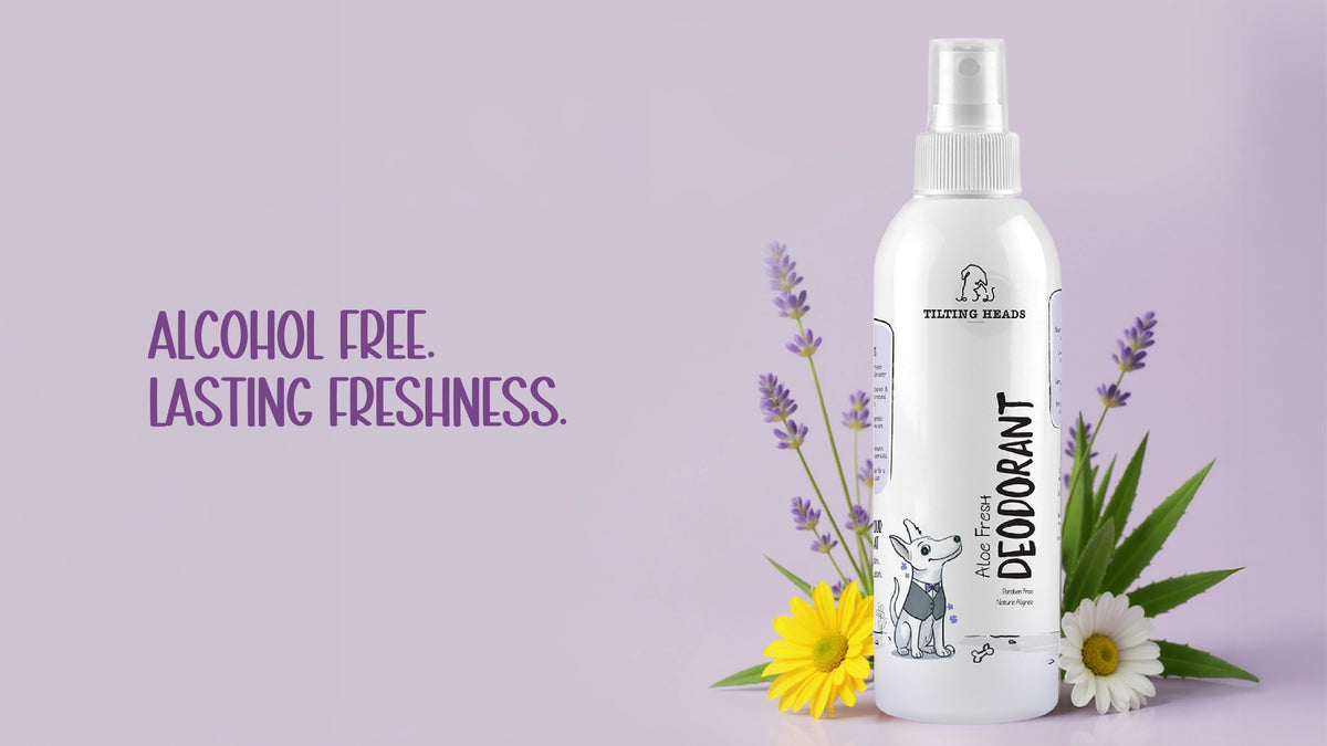 Natural Pet Deodorant | Tilting Heads Aloe Fresh Grooming Spray - Tilting Heads