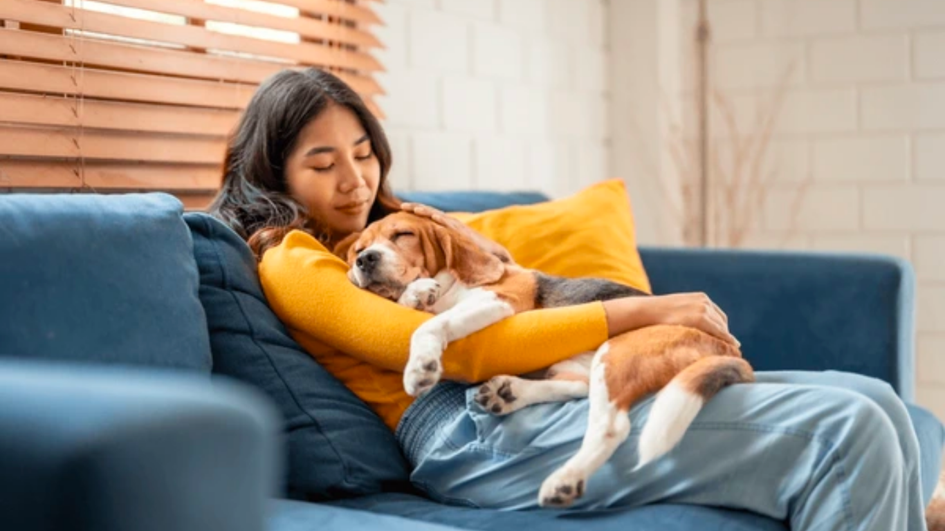 How to Keep Your Pet’s Coat Happy This Winter — The Herbal Way - Tilting Heads