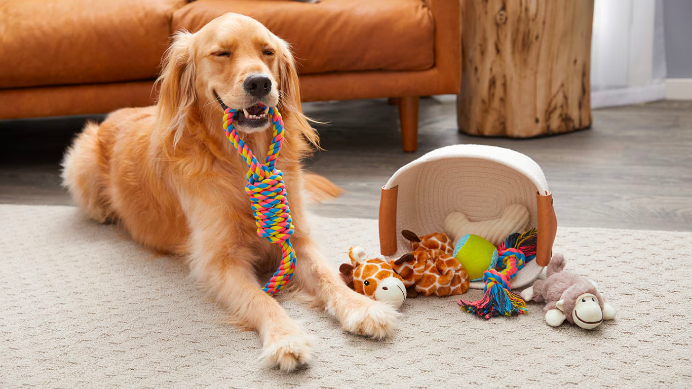 Why Toys Matter More Than You Think? - Tilting Heads