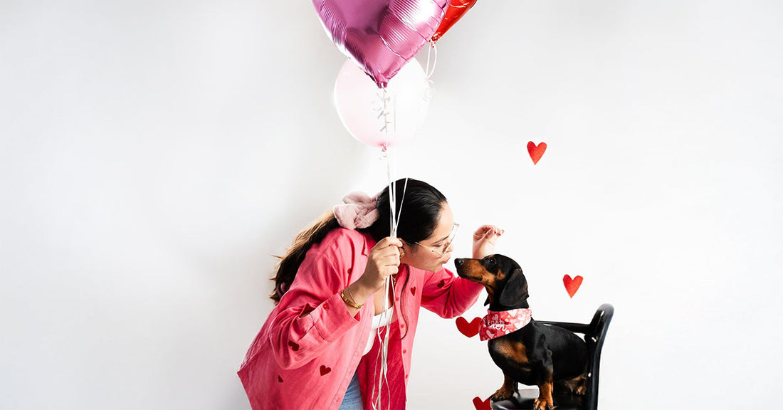 Pet enjoying a loving Valentine’s Day moment with a pet parent