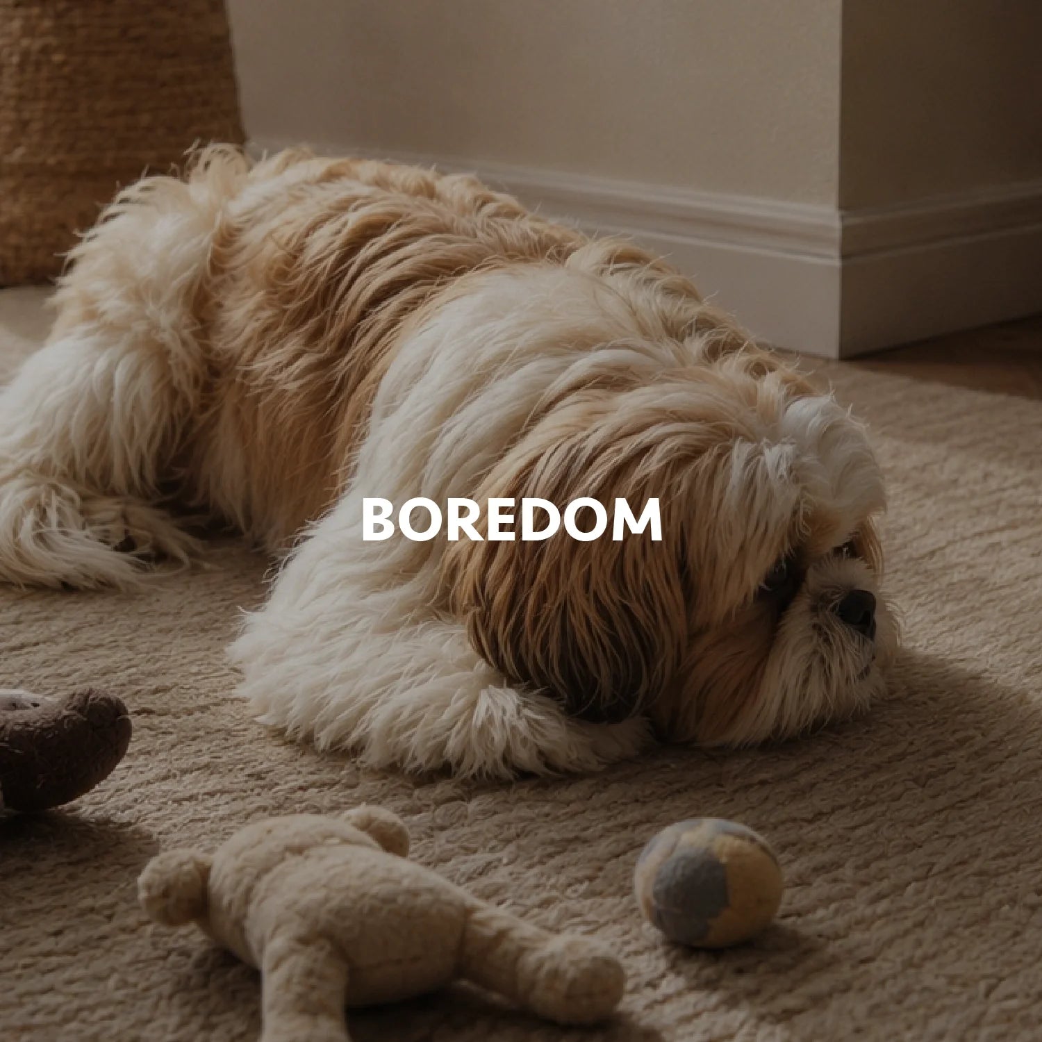 Boredom