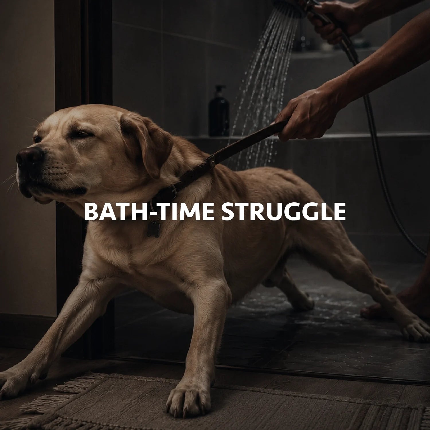 Bath Time Struggle