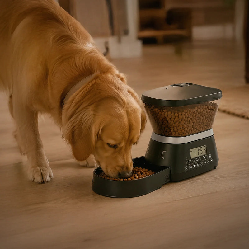 Feed & Hydrate | Dogs